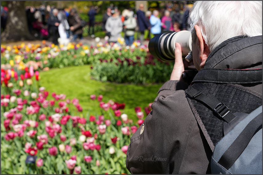 De Keukenhof 2024